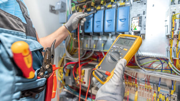 Best Electric Panel Repair  in Theresa, WI